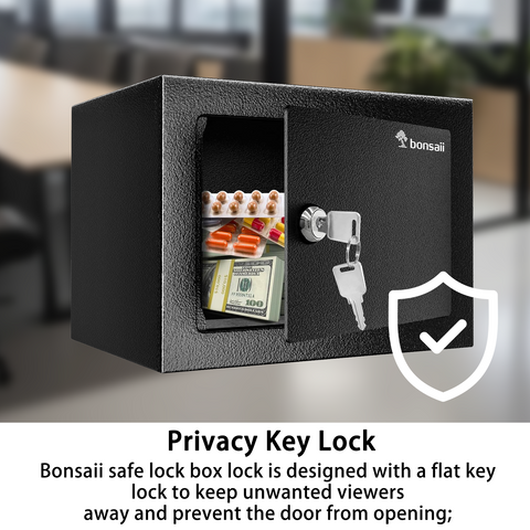 Bonsaii Safe Box with Key Lock, Steel Security Lock Box, 0.23 Cubic Feet, 9.06" W x 6.69" D x 6.69" H, Small Hidden Safe for Cash Jewelry Bonsaii Safe Box with Key Lock, Steel Security Lock Box, 0.23 Cubic Feet, 9.06" W x 6.69" D x 6.69" H, Small Hidden Safe for Cash Jewelry
