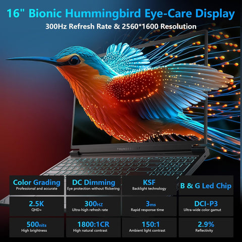 THUNDEROBOT Radiant S 16 Gaming Laptop 16 inches WQXGA Non-touch 300Hz AMD Ryzen 9 9850HX NVIDIA GeForce RTX 5070 32GB DDR5 2TB SSD Windows 11 Home, Black