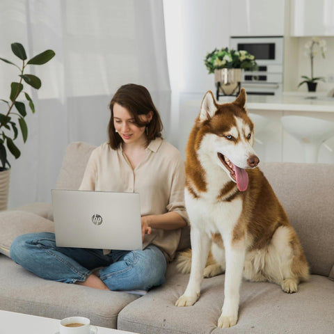 HP Essential 15.6" Traditional Laptop Intel N-Series 4GB RAM Intel UHD Graphics 128GB eMMC Storage Windows 11 Home 60Hz - Silver